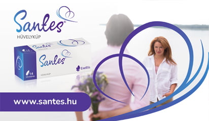 Santes banner